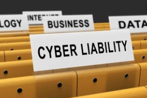 cyber liabilty on paper