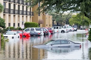 cars in front of office half drowned in water