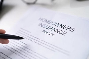 person reading homeowner insurance policy