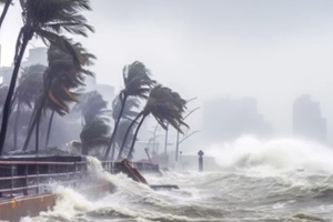landcape during the hurricane or storm